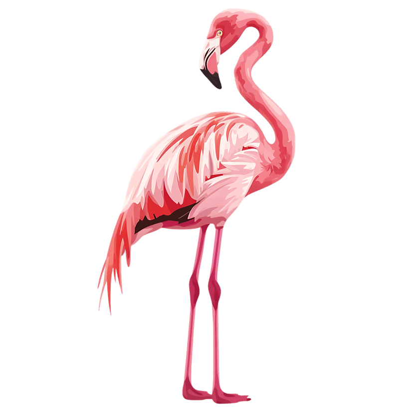 Pink flamingo with vibrant feathers stands in profile against a dark background featuring yellow eye details.