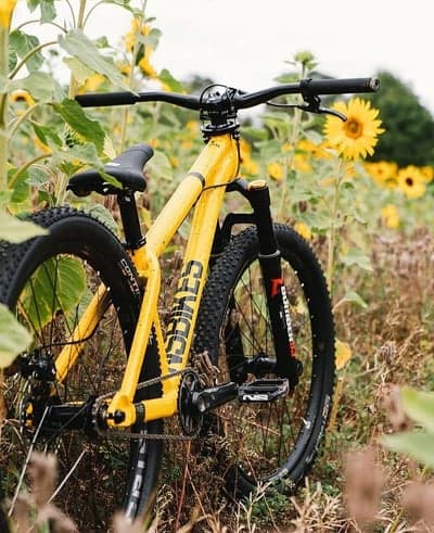 Yellow Dirt Jump Bike in Sunflower Field
