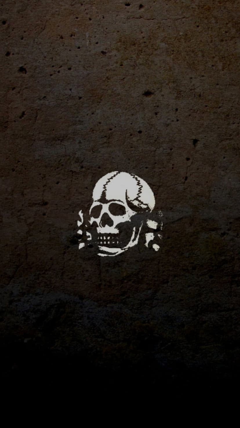 White skull and crossbones symbol centered on a heavily distressed dark grey stone background with harsh shadows.