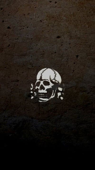 Skull and Crossbones on Textured Dark Background