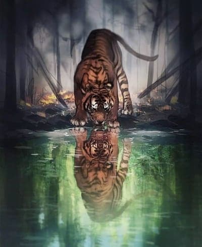 Tiger drinks from water reflecting burning forest