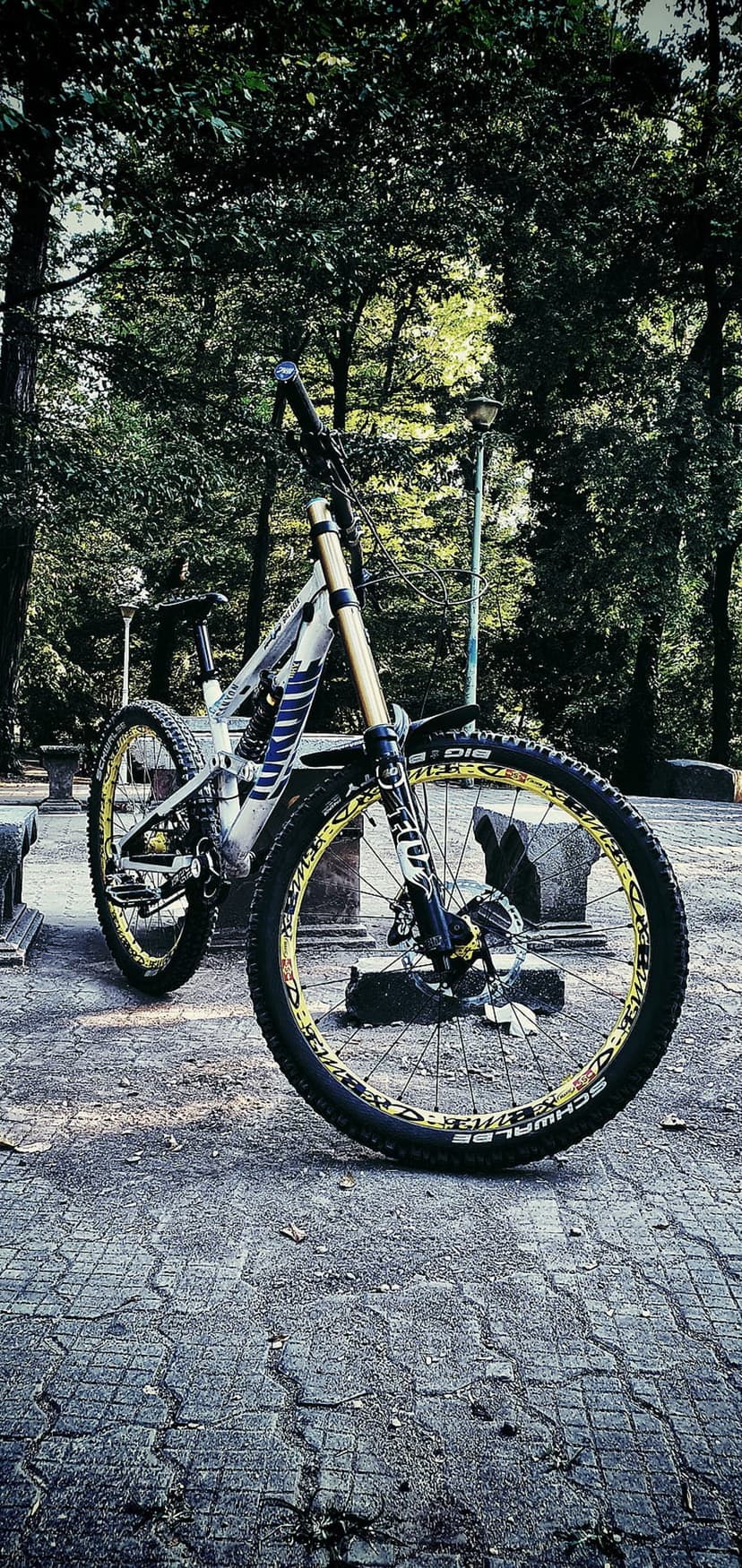 Yellow-accented mountain bike with thick tires parked on a stone walkway within a lush green forest landscape.