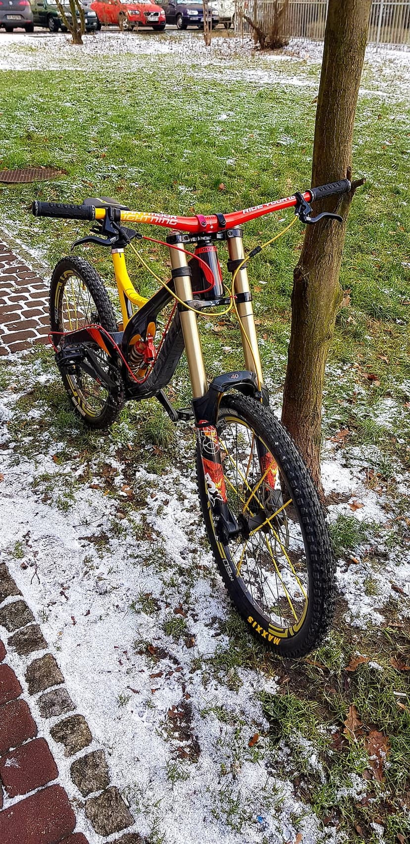 Downhill mountain bike with gold forks and red bars propped against a tree in a light dusting of winter snow.