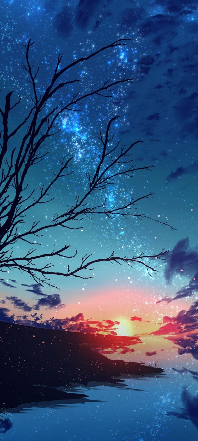Bare tree silhouette against a starry night sky and orange sunset reflecting on calm ocean waters at dusk.