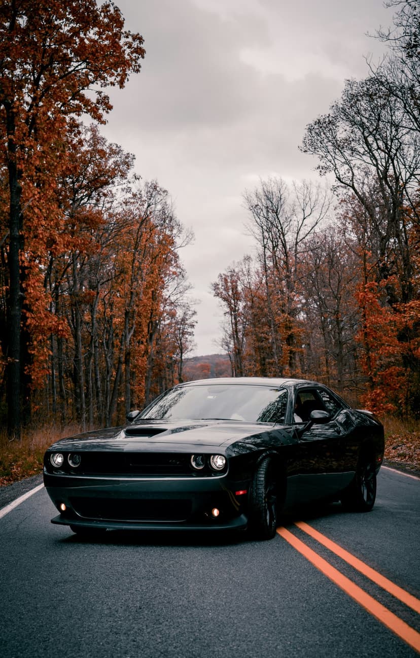 Black Dodge Challenger on an asphalt road with orange lines, bordered by orange and red autumn forest trees.
