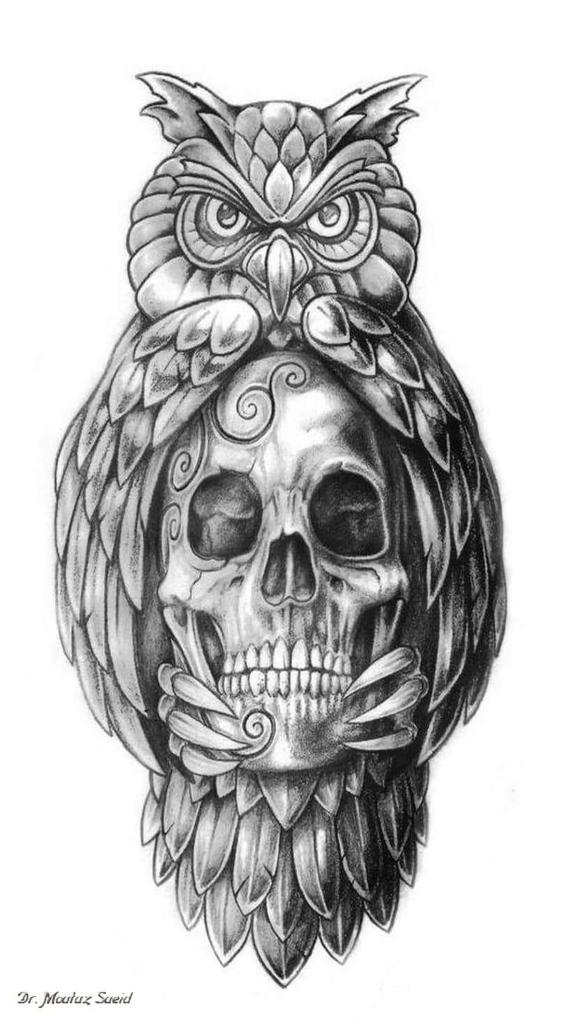 Owl perched on a human skull with ornamental swirls and detailed feathers in a black and white pencil sketch.