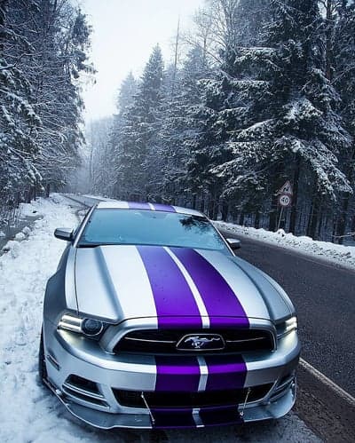 Silver Mustang Purple Stripes Snowy Forest Phone Wallpaper