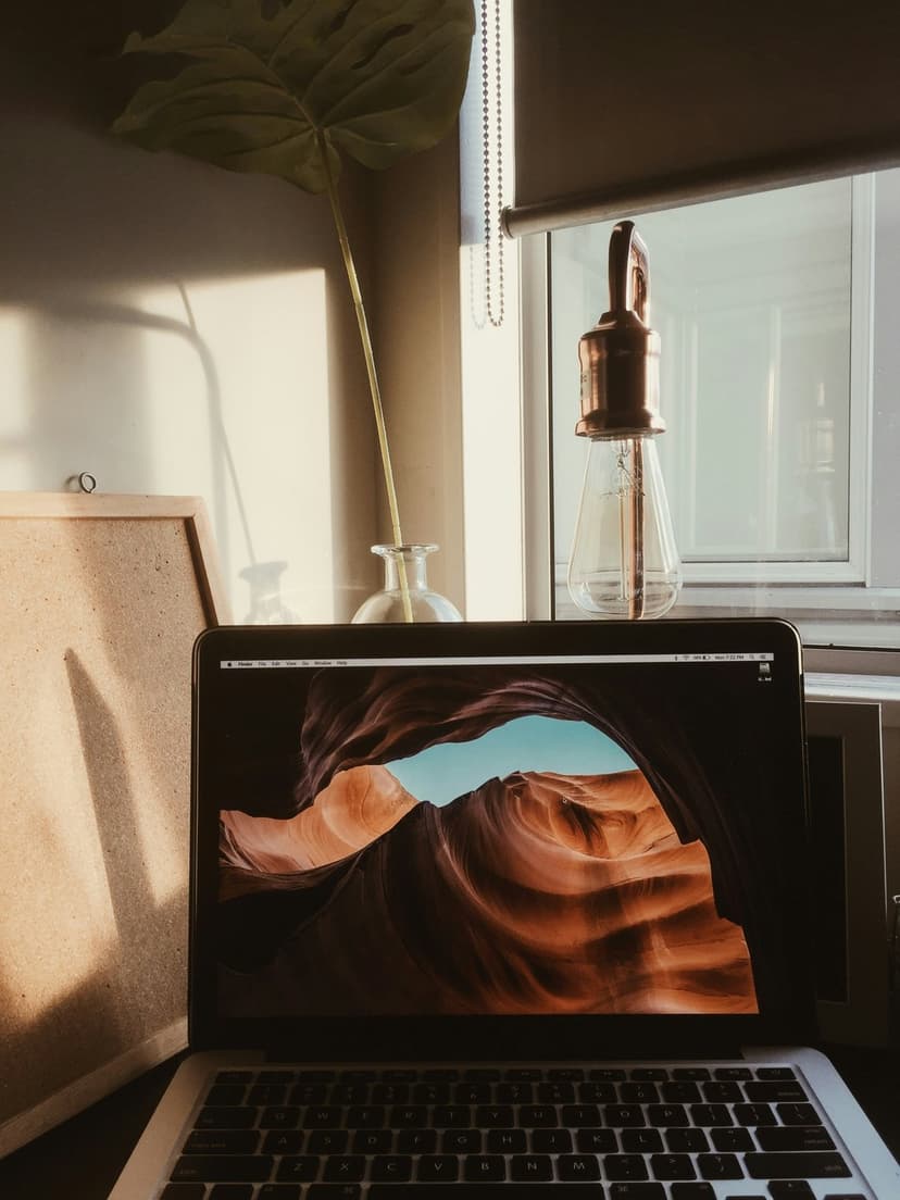 Laptop computer and Monstera leaf in a vase on a sunlit wooden desk with a glowing Edison bulb lamp.