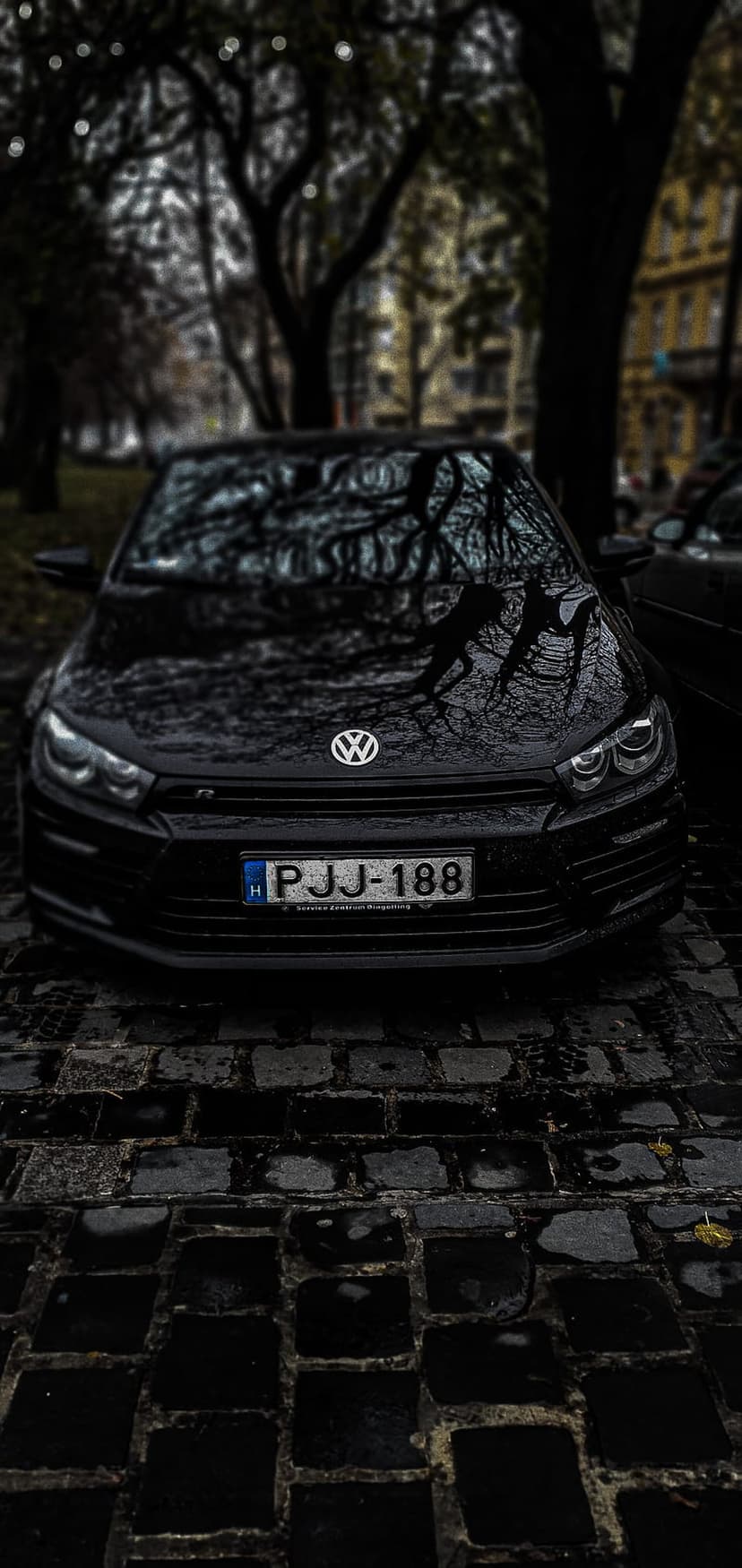 Black Volkswagen Scirocco parked on wet cobblestones with tree reflections on its glossy dark exterior.