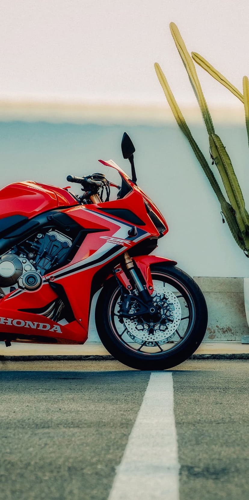 Red Honda sportbike parked beside a tall green cactus on an asphalt road under a bright, clear desert sky.