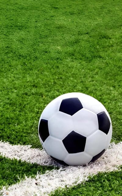 Soccer ball on green grass field with white line