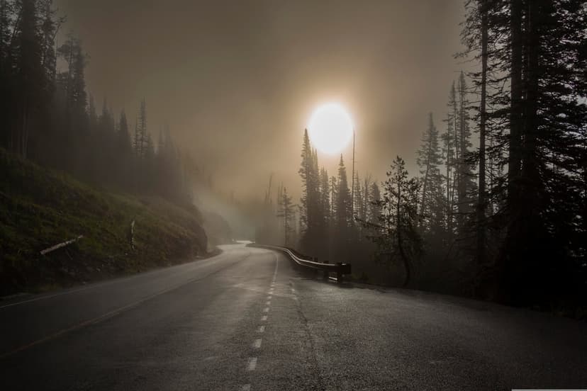Winding wet mountain road flanked by pine trees under a radiant sunburst breaking through thick morning fog.