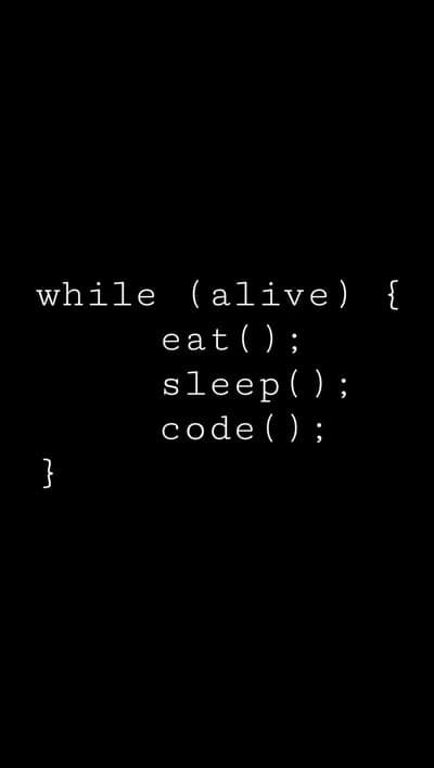 Programmer's Imperative - The Loop of Existence