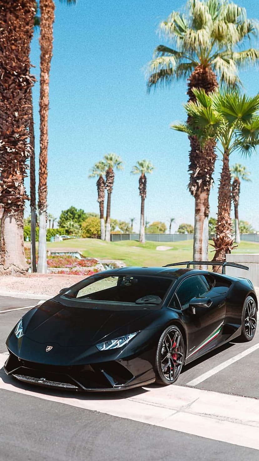 Black Lamborghini Huracan parked on pavement with green palm trees and a clear blue sky in the background.