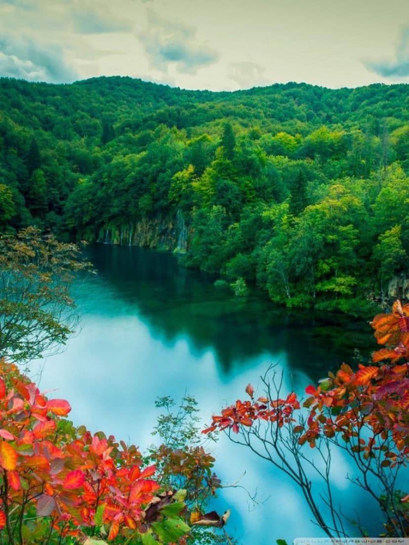 Red and orange autumn leaves frame a clear turquoise lake reflecting clouds in this vertical landscape view.