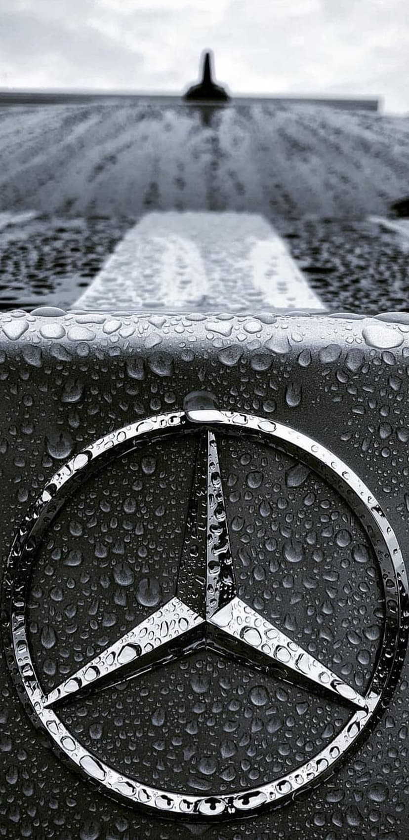 Mercedes-Benz chrome star emblem covered in tiny water droplets on a dark, reflective car hood in monochrome.