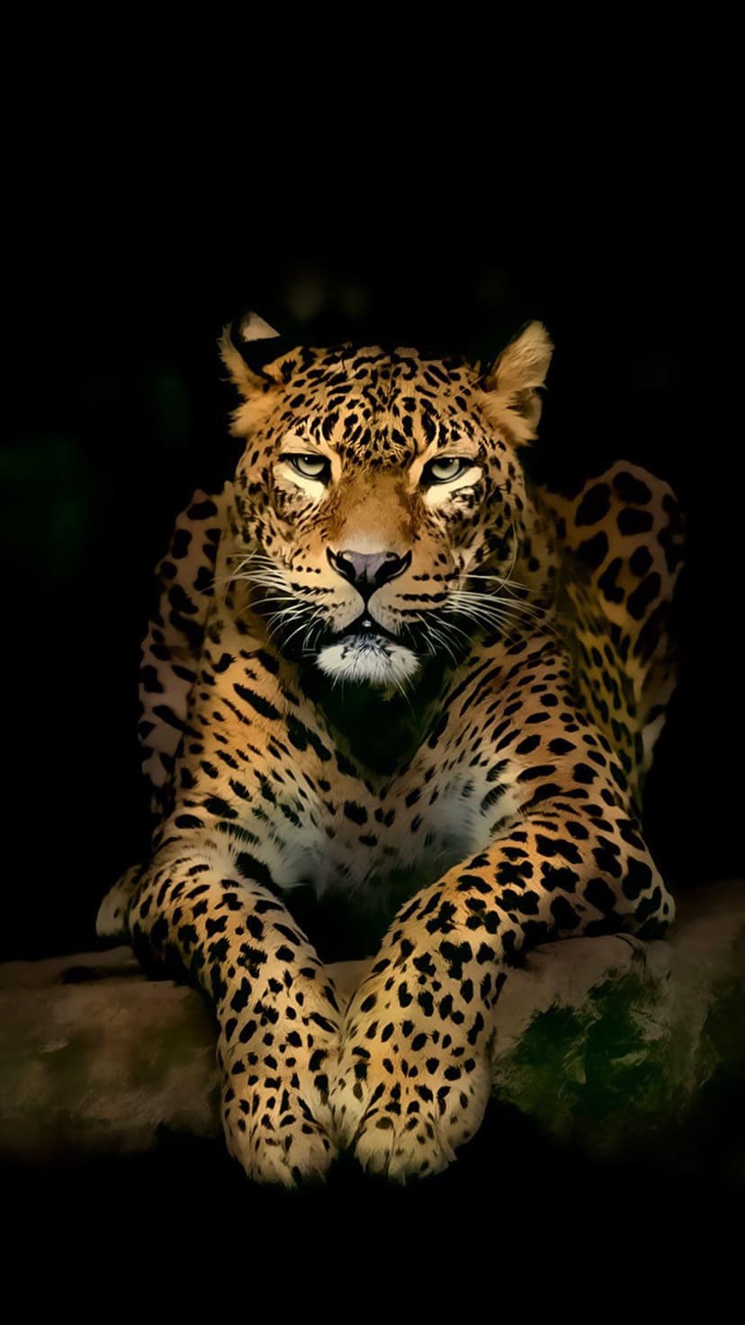 Leopard face with luminous green eyes and detailed spotted fur peering out from a solid black background.