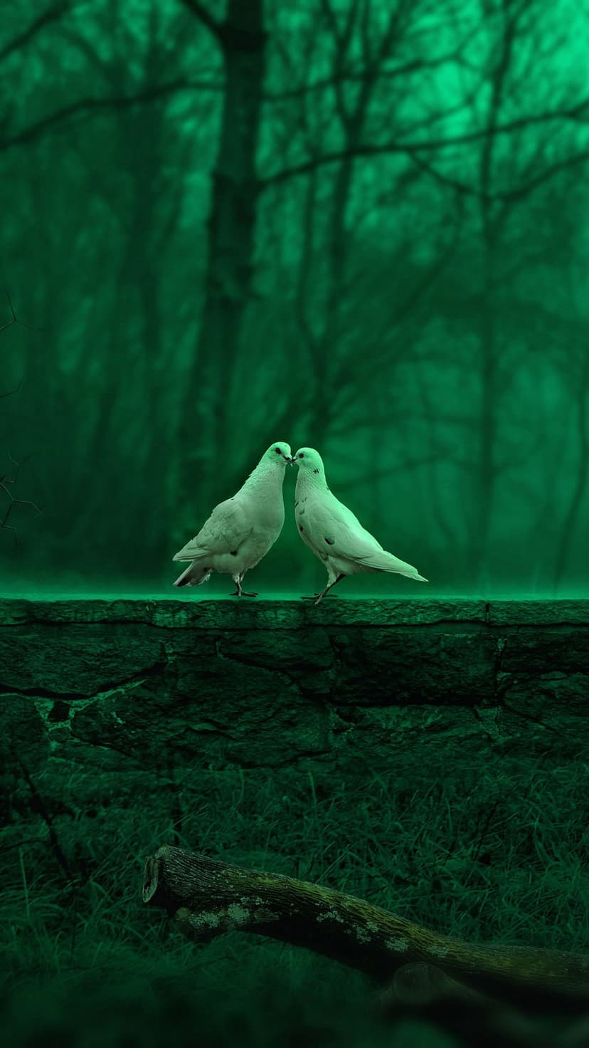 Two white doves perched on a weathered stone wall within a dark emerald forest near a fallen wooden log.