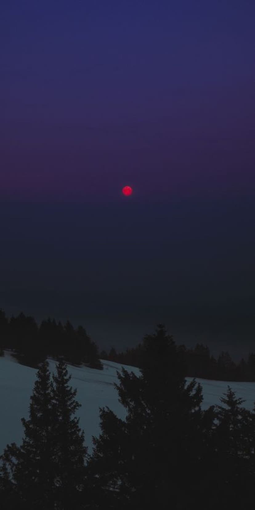 Glowing red orb floating above a snow-covered evergreen forest under a dark blue and purple twilight sky.