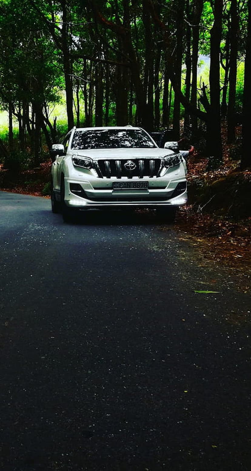 White Toyota Prado SUV parked on a pebble-strewn asphalt road deep within a dense green forest landscape.