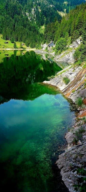 Emerald Lake Reflecting Lush Green Forested Mountainside
