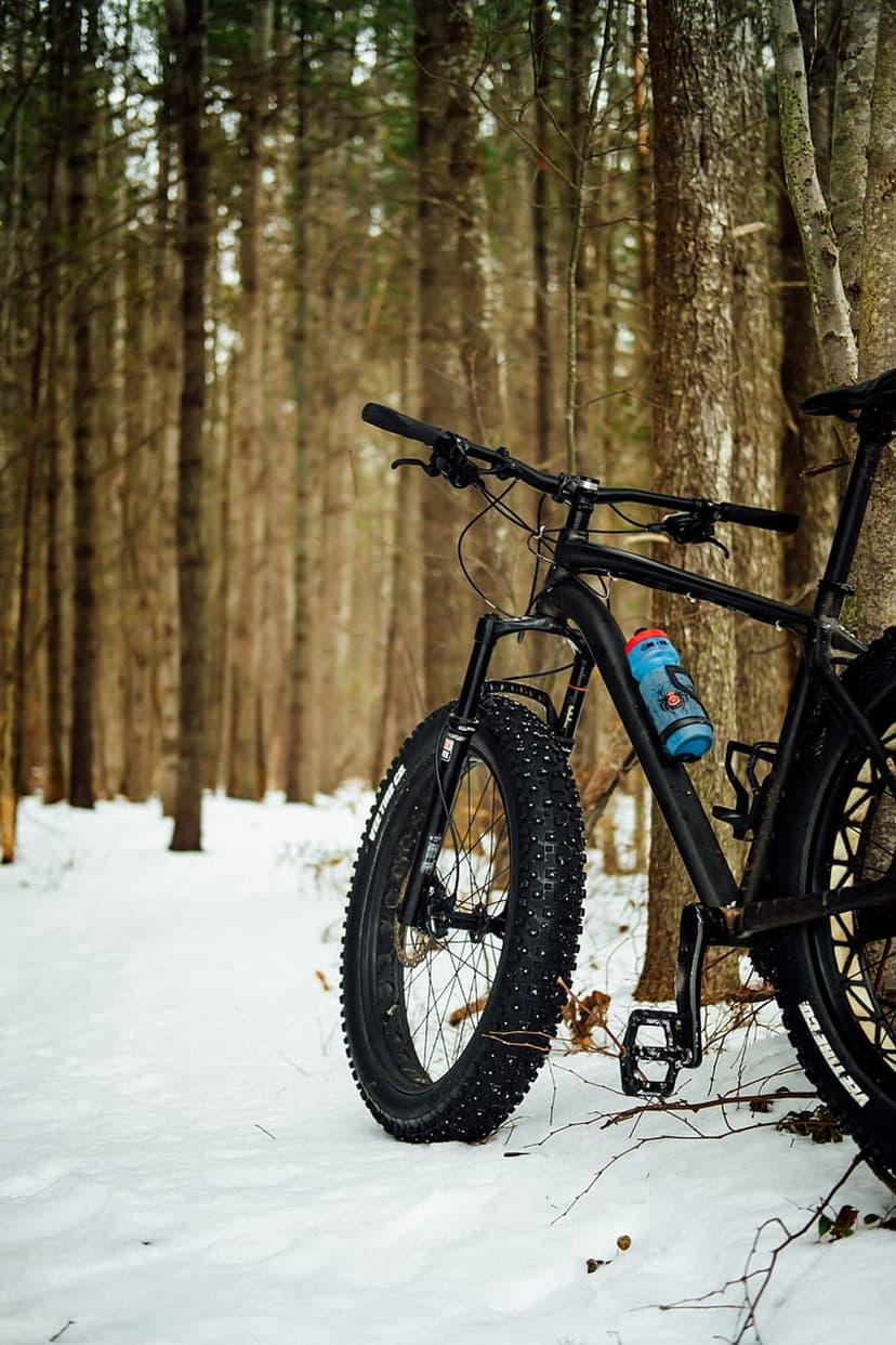 Black fat bike with studded tires leaning against a tree in a snowy forest during a quiet winter day.