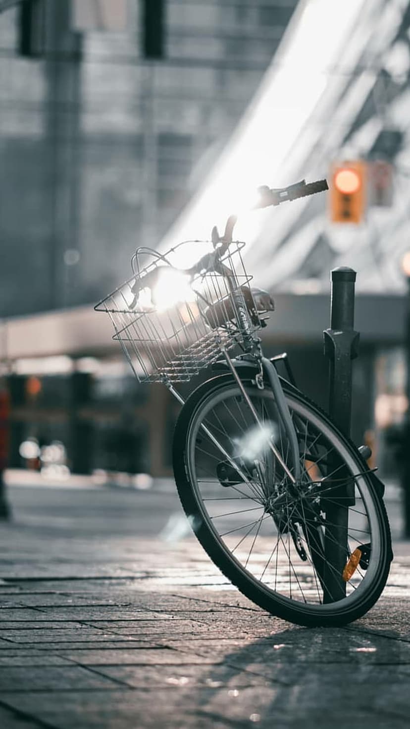 Vintage bicycle with a basket stands on a sunlit cobblestone street with golden lens flare and urban shadows.