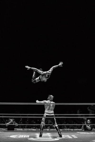 Acrobatic Flight - Lucha Libre in Mid-Air