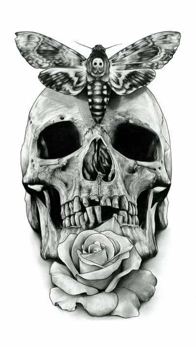 Death's-head Hawkmoth on Skull with Rose