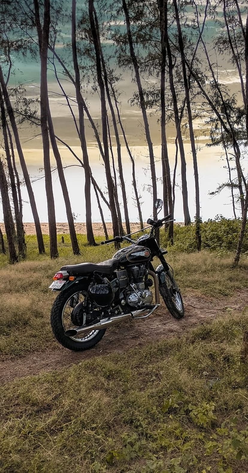 Vintage black motorcycle parked on a dirt path between tall coastal trees with a hazy ocean in the background.
