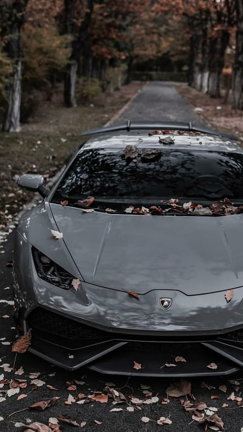 Grey Lamborghini supercar parked on an asphalt road covered in orange autumn leaves under a canopy of trees.