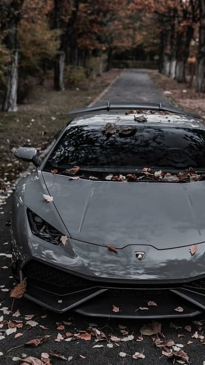 Grey Lamborghini Supercar Autumn Road Phone Wallpaper