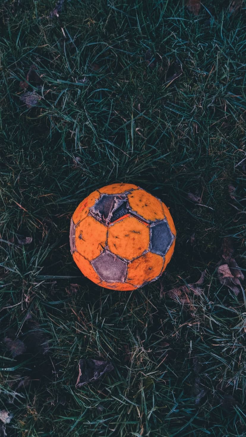 Orange scuffed soccer ball rests on dark green grass with dry autumn leaves in an overhead vertical view.
