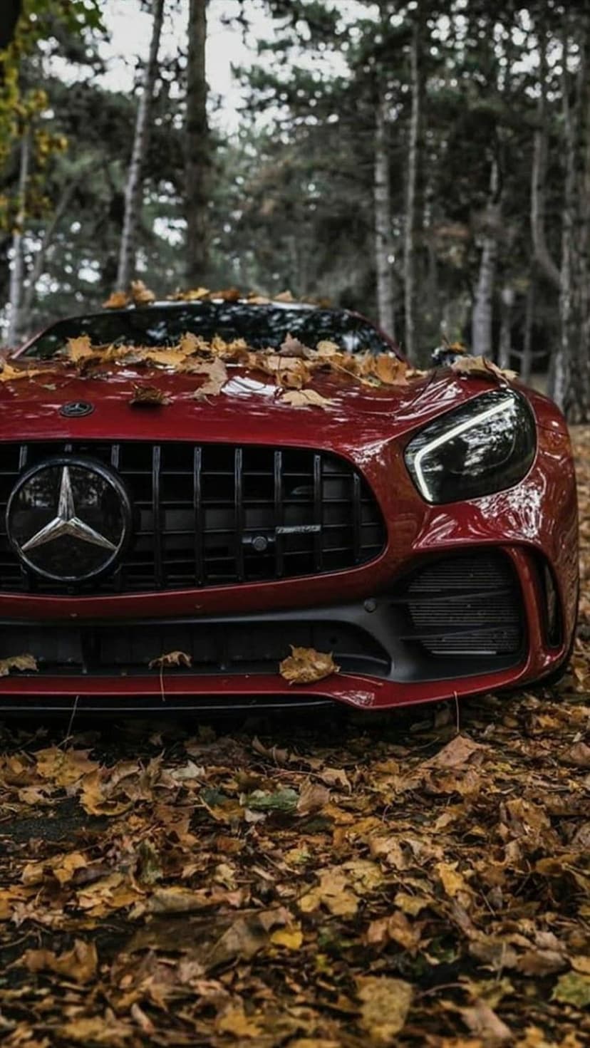 Red Mercedes AMG front grille and LED headlights parked on a bed of orange fallen leaves in an autumn forest.
