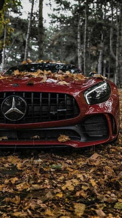 Red Mercedes AMG parked in autumn forest with fallen leaves