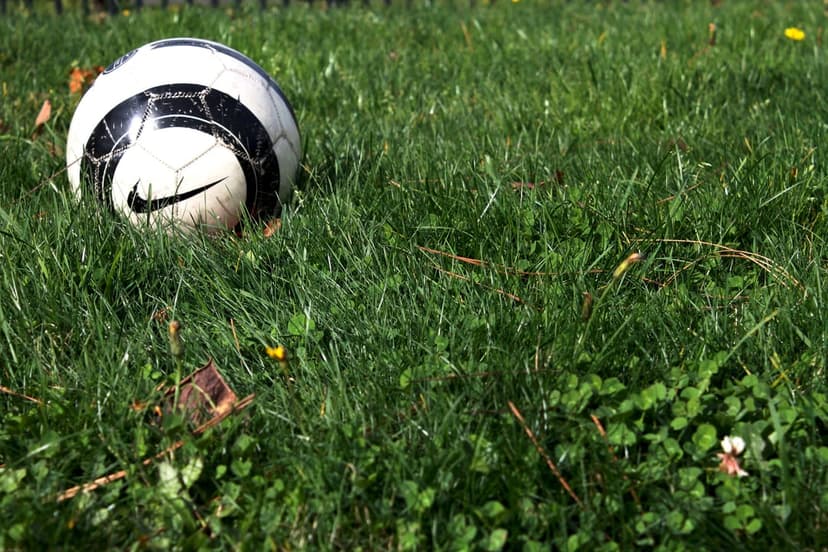 Soccer ball with a black Nike logo sitting on thick green grass with tiny yellow flowers in bright sunlight.