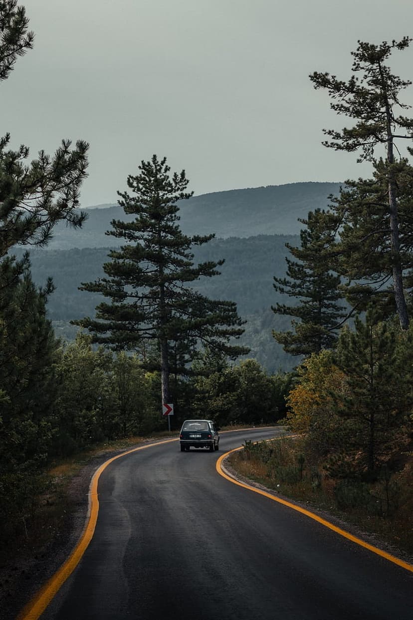 Dark car drives along a winding asphalt road through dense evergreen forests under a misty, overcast sky.