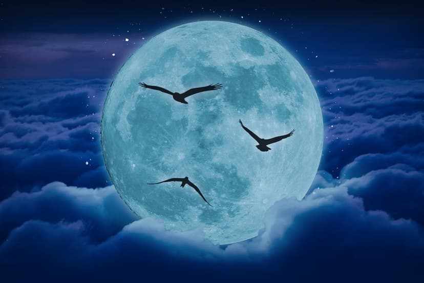 Silhouetted birds fly across a massive glowing blue moon surrounded by dark clouds and faint stars at night.