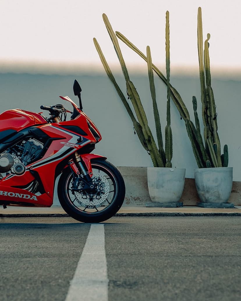 Red Honda sportbike parked on asphalt next to tall cacti in planters against a soft desert horizon background.