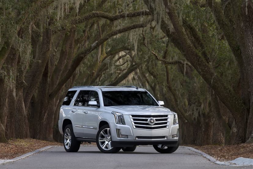Silver Cadillac Escalade SUV parked on a road beneath a canopy of live oak trees with hanging Spanish moss.