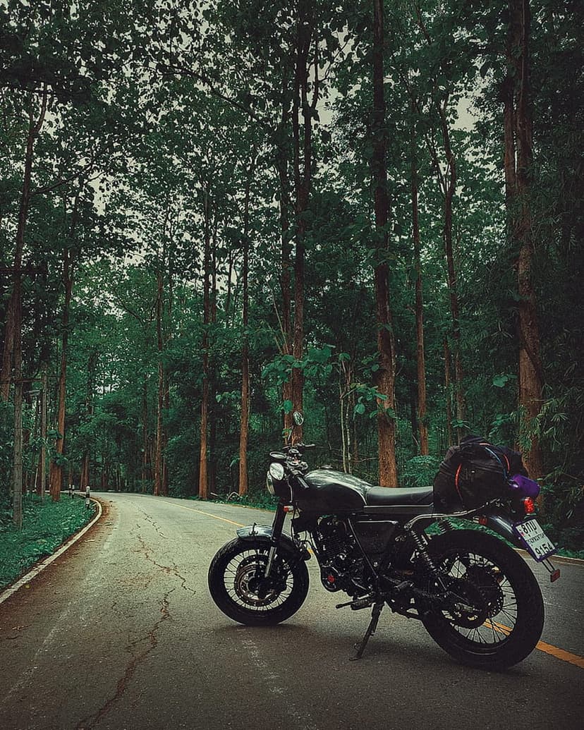 Black motorcycle with a helmet on the seat parked on a paved road inside a dense, foggy evergreen forest.