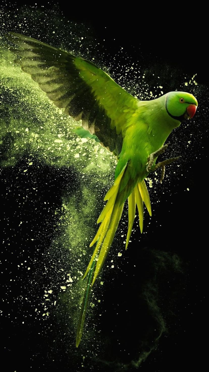 Green parrot with spread wings flying through a cloud of emerald powder against a solid black background.