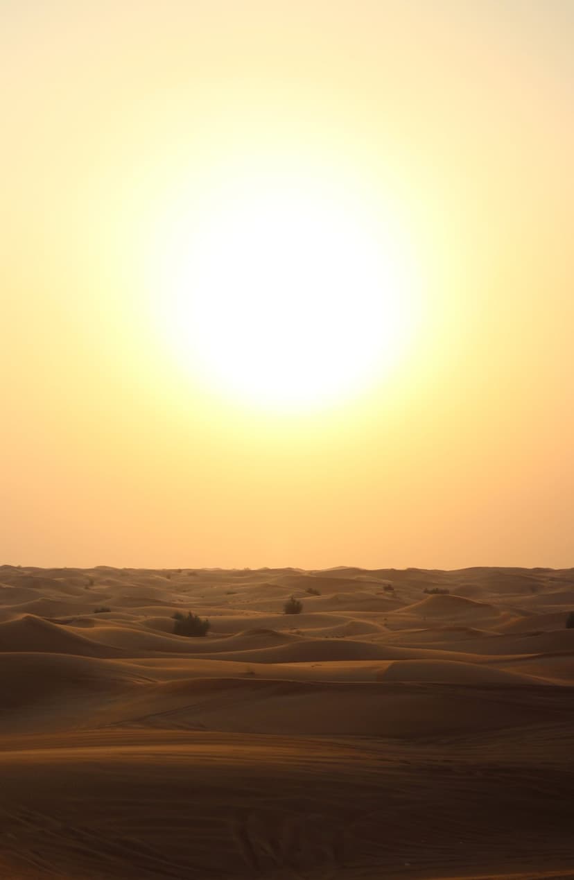 Golden sand dunes with deep shadows and sparse shrubs under a glowing orange sun and hazy sky in the distance.