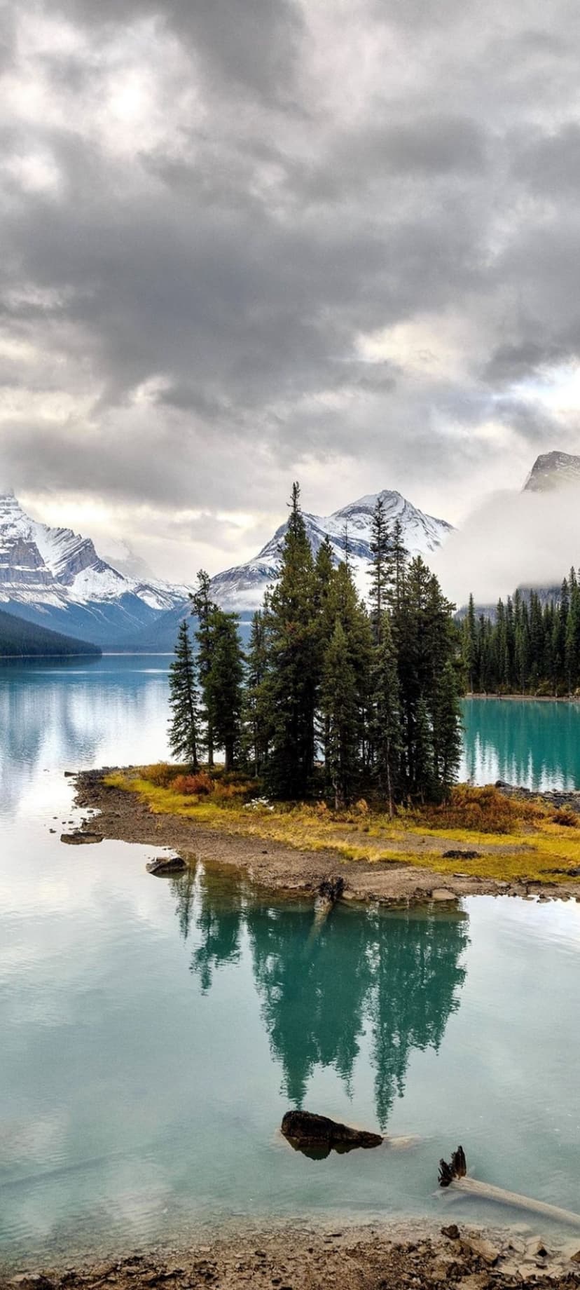 Coniferous trees on a small island reflect in a calm turquoise lake below sharp snow-capped mountain peaks.
