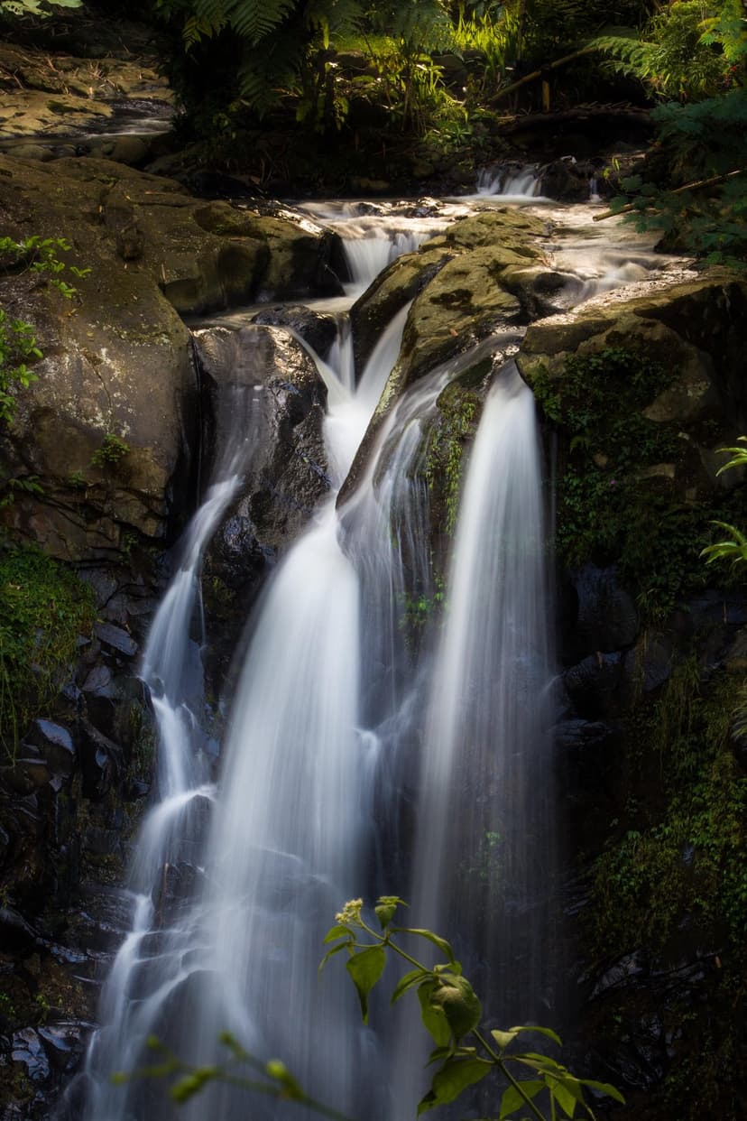Tropical waterfall flows smoothly over green moss-covered boulders surrounded by dense rainforest vegetation.