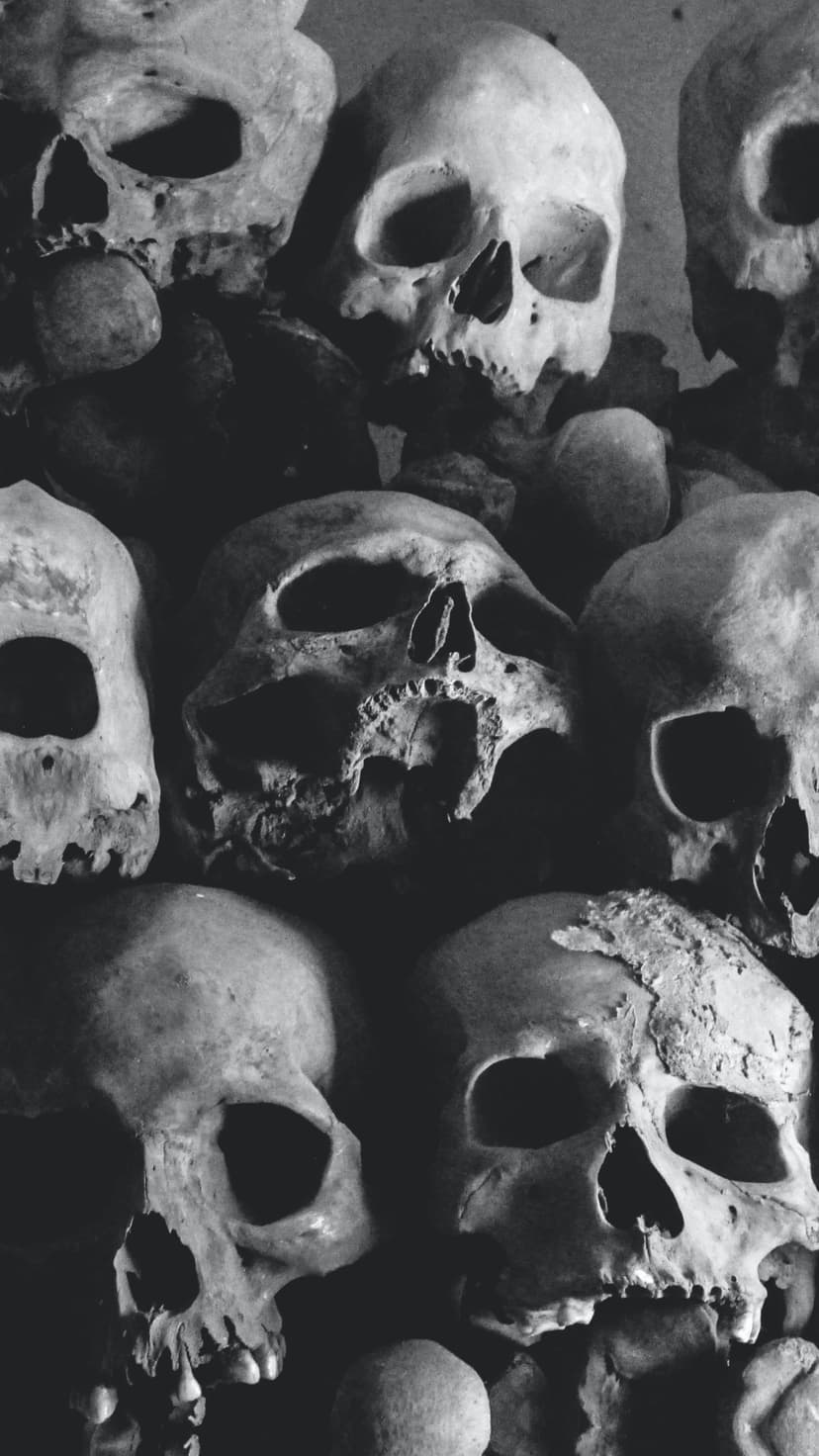 Human skulls and skeletal remains stacked in a high-contrast black and white pile with deep shadows.