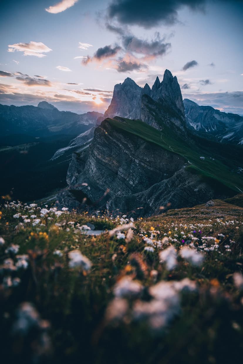 Jagged mountain ridges glow under a sunset sky above a foreground of blooming alpine wildflowers in the meadow.