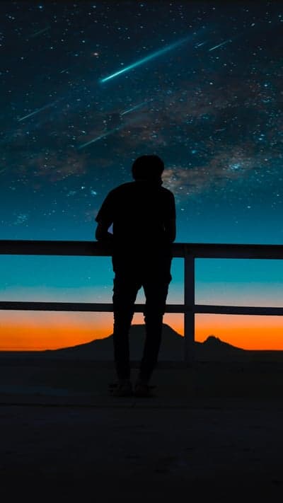 Starlit Contemplation - Night Watcher