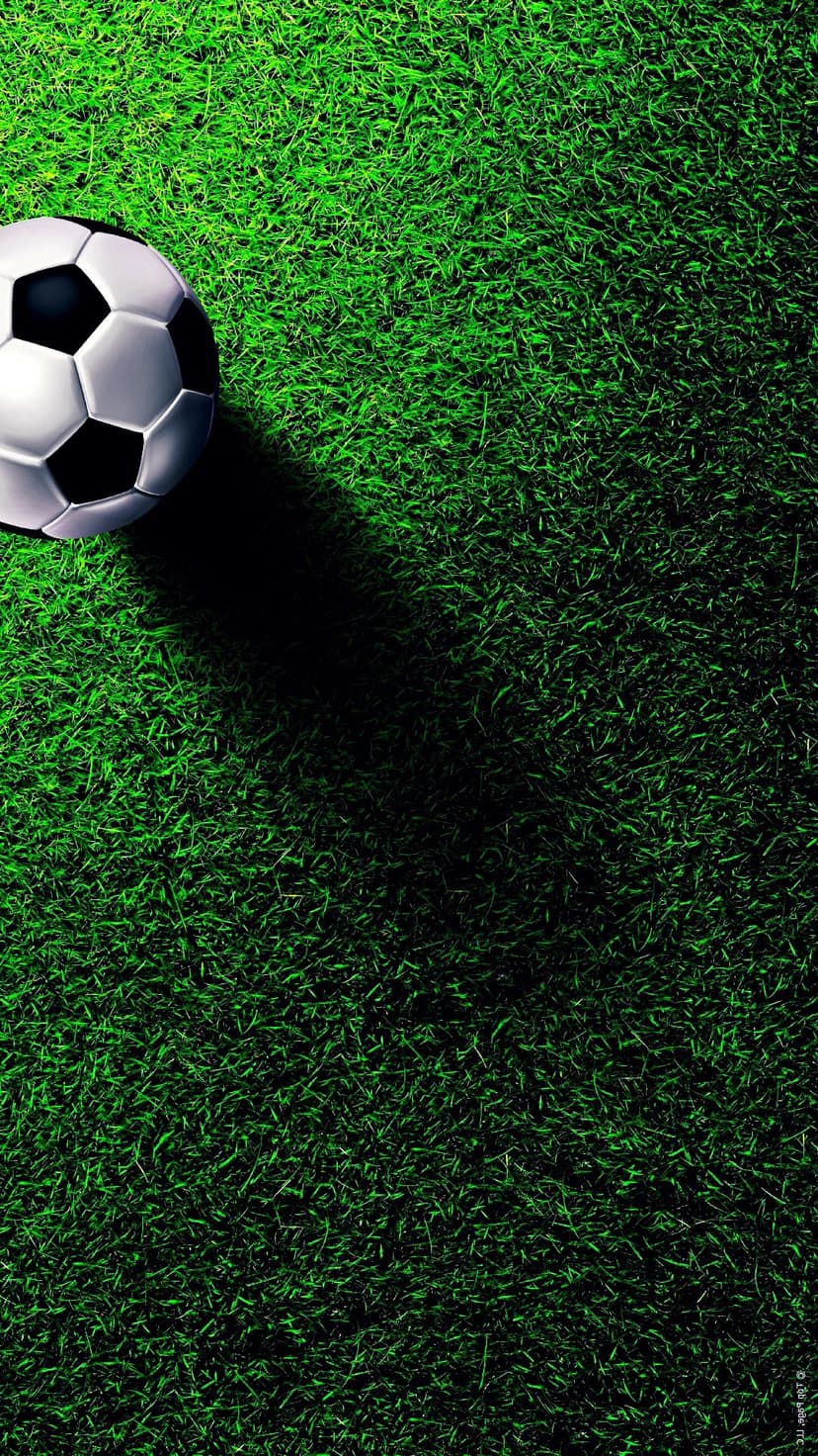 Black and white soccer ball sits on a lush green grass field with visible blades and a soft shadow under daylight.