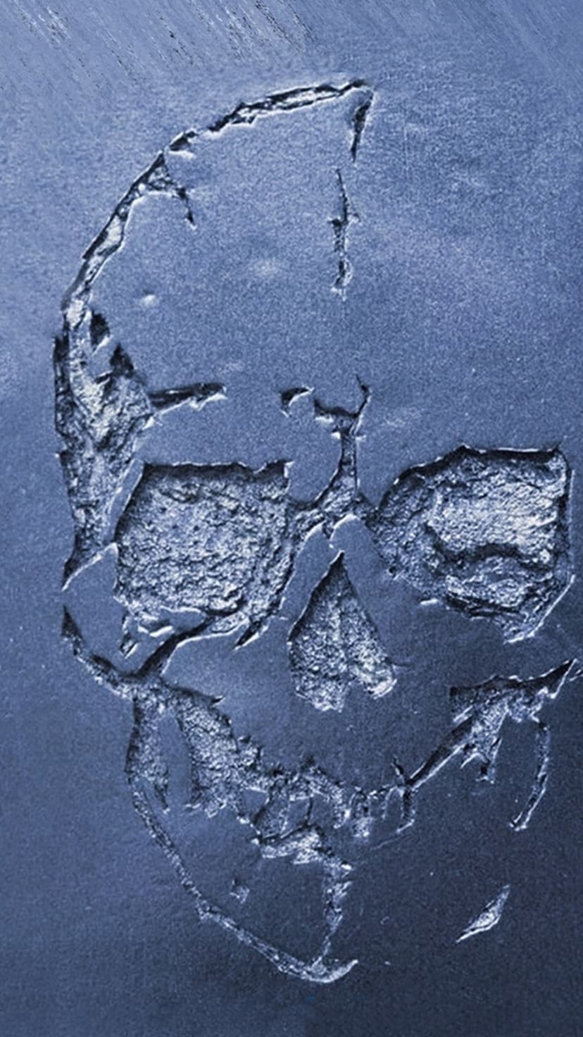 Weathered skull relief carved into a textured blue metallic surface with deep shadows in the eye sockets and jaw.